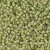 MIYUKI Round Rocailles Beads SEED-JP0010-RR0378-2