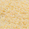 Glass Seed Beads SEED-K009-02B-16-3