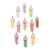 Fruit Theme Epoxy Resin Pendants RESI-L045-02P-1