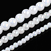 Electroplate Imitation Jade Glass Beads Strands LS-GLAA-T032-J10mm-AB01-4