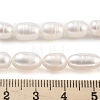 Natural Cultured Freshwater Pearl Beads Strands PEAR-P062-08D-5