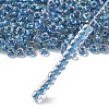 TOHO 6/0 Round Beads SEED-XTR06-0263-2