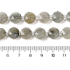 Natural Labradorite Bead Strands G-C116-A10-01-5