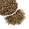 Silver Lined Glass Seed Beads SEED-T007-18A-11-1