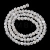 Natural Rainbow Moonstone Beads Strands G-B190-A01-01-3