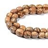 Natural Picture Jasper Beads Strands G-C038-02B-4