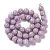 Natural Lepidolite Beads Strands G-H247-11C-2