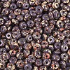Picasso Glass Seed Beads SEED-N010-01G-3