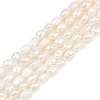 Natural Cultured Freshwater Pearl Beads Strands PEAR-P064-20E-05A-2