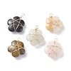 Natural Gemstone Pendants PALLOY-JF01415-01-1