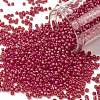 TOHO Round Seed Beads SEED-TR11-0165BF-1