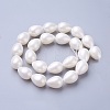 Electroplate Shell Pearl Beads Strands BSHE-O019-05-2