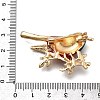 Bird Zinc Alloy Rhinstone Brooches JEWB-V001-04B-3