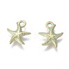 Alloy Charms PALLOY-L222-038GGP-2