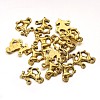 Tibetan Style Alloy Pendants GLF1172Y-1