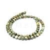Natural Rhyolite Jasper Beads Strands G-F674-03A-6mm-2