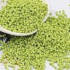 Baking Paint Glass Seed Beads X-SEED-S042-05B-62-1