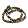 Natural Dendritic Jasper Beads Strands G-D481-16-3