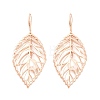 Rack Plating Brass Earrings for Women EJEW-M260-26RG-1