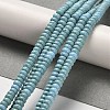 Natural Turquoise Beads Strands X-G-M422-B01-01-3