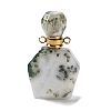 Natural Moss Agate & Indian Agate Perfume Bottle Pendants G-A026-12-2