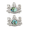 304 Stainless Steel Pave Natural Paua Shell Pendants STAS-C122-21A-01P-1