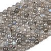 Natural Labradorite Beads Strands G-O176-04B-2