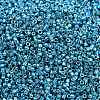 MIYUKI Delica Beads X-SEED-J020-DB2513-2