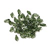 Transparent Acrylic Charms A-TACR-G041-01B-1