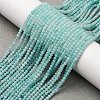 Natural Amazonite Beads Strands G-A276-A01-2mm-1