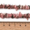 Natural Argentina Rhodonite Beads Strands GG-CBAC13F-B04-01-5