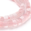 Natural Rose Quartz Beads Strands G-F631-K09-3