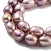 Natural Cultured Freshwater Pearl Beads Strands PEAR-P062-17C-4