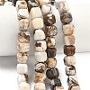 Natural Petrified Wood Beads Strands G-C267-A06-1