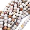 Natural Ocean Jasper Beads Strands G-O201A-15B-1