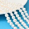 Natural Cultured Freshwater Pearl Beads Strands PEAR-P064-19J-02B-1