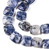 Natural Blue Spot Jasper Beads Strands G-T138-172-3