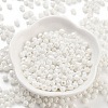 Baking Paint Glass Seed Beads X1-SEED-A032-02D-2