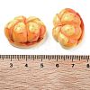 Opaque Resin Imitation Food Decoden Cabochons RESI-S405-06B-3