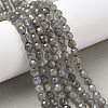 Natural Labradorite Beads Strands G-G213-4mm-03-4