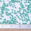 MIYUKI Delica Beads SEED-X0054-DB0166-4