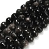 Natural Silver Obsidian Beads Strands G-C280-B08-10mm-2