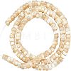  1 Strand Natural Trochid Shell/Trochus Shell Beads Strands BSHE-NB0001-18-1