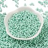 Glass Seed Beads SEED-L011-04A-12-2