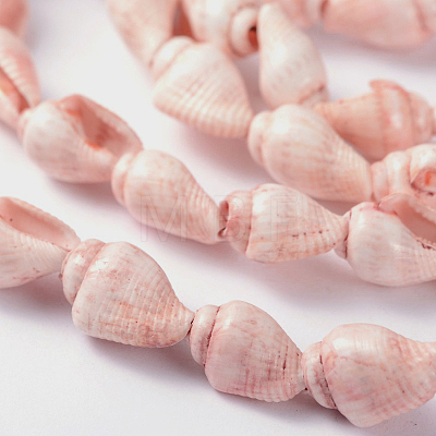 Natural Sea Shell Conch Bead Strands X-BSHE-O009-11-1