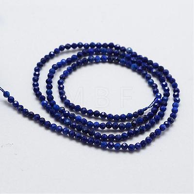 Natural Lapis Lazuli Bead Strands G-G663-48-4mm-1