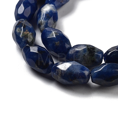 Natural Sodalite Beads Strands G-P520-C07-01-1