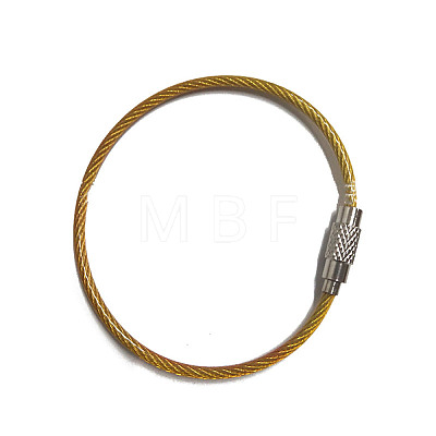Stainless Steel Cable Wire Keychain AJEW-YWC0004-01C-1