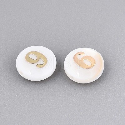 Natural Freshwater Shell Beads SHEL-N003-20-09-1