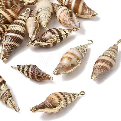 Brass & Natural Shell Pendants SH-CBA27C9-14-1
